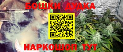 тгк Дубна