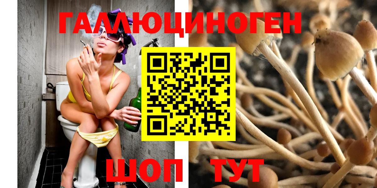 Галлюциногенные грибы GOLDEN TEACHER Миасс