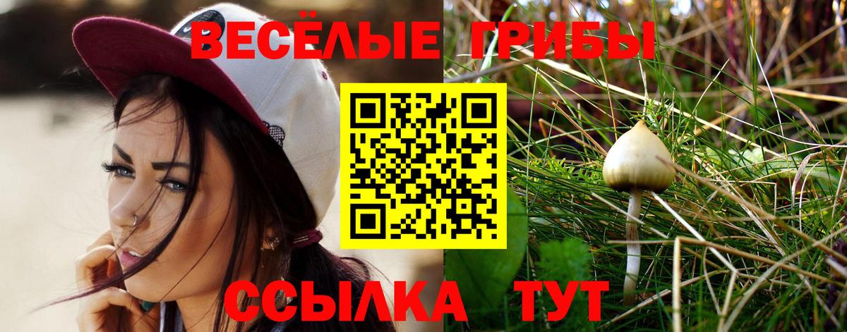 Миасс  купить наркотики цена  Вход с VPN  Псилоцибиновые грибы Cubensis 